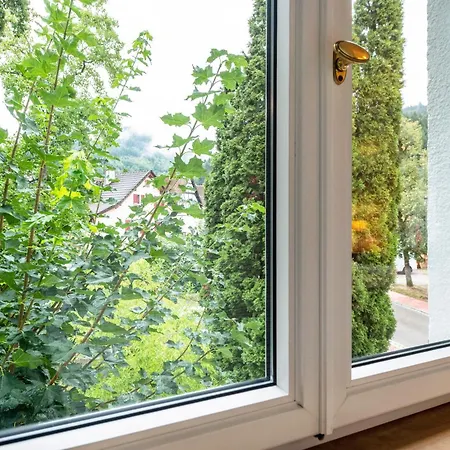 Apartament Waldhorn