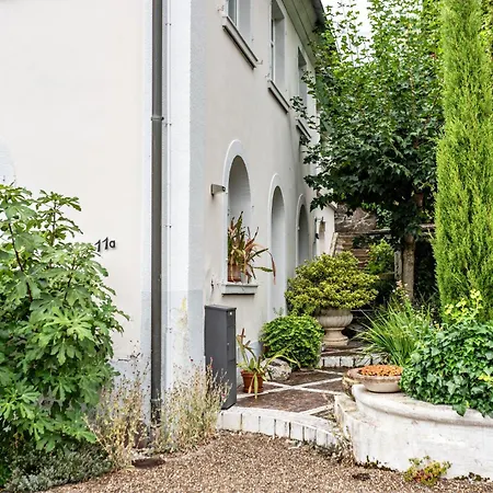 Waldhorn Badenweiler